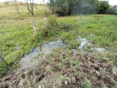 Stio / Chcara para Venda, em Pinhalzinho, bairro cachoeirinha