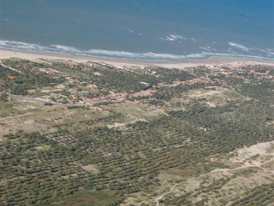 Terreno em Praia para Venda, em Trairi, bairro Guajiru