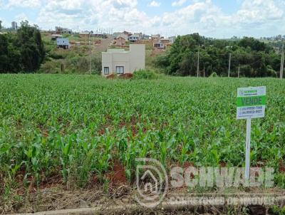 Terreno para Venda, em Trs Passos, bairro PINDORAMA