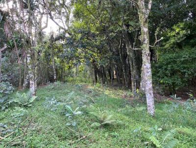 Terreno para Venda, em Erechim, bairro Bairro Esperana