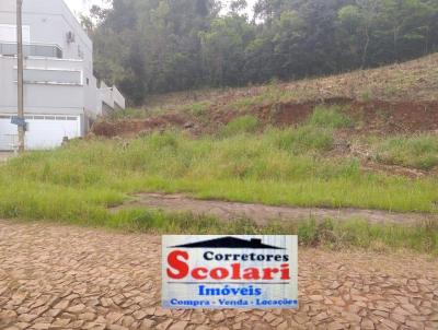 Terreno para Venda, em Erechim, bairro Jos Bonifcio