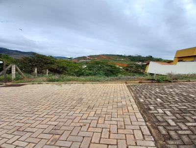 Lote para Venda, em Carangola, bairro Santa Emlia