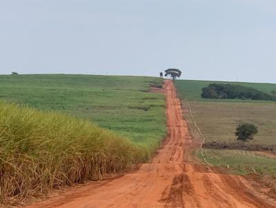 Fazenda para Venda, em Araras, bairro Jardim Nova Europa