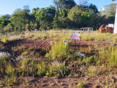 Terreno para Venda, em Panambi, bairro 