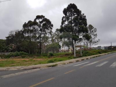 Terreno para Venda, em Po, bairro Jd.Amrica