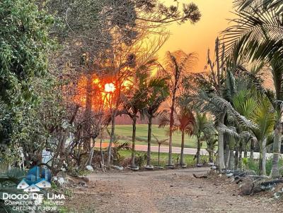 Terreno para Venda, em Guaraniau, bairro 