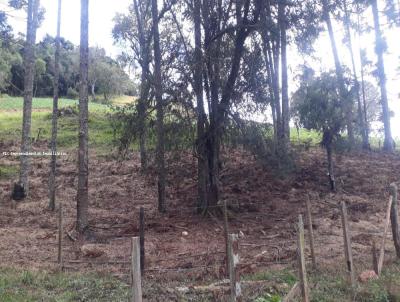 Stio para Venda, em Munhoz, bairro Ribeiro Fundo, 2 dormitrios, 1 banheiro, 2 vagas