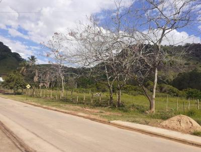 Lote para Venda, em Carangola, bairro Varginha