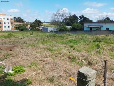 Terreno para Venda, em Araucria, bairro Thomaz Coelho