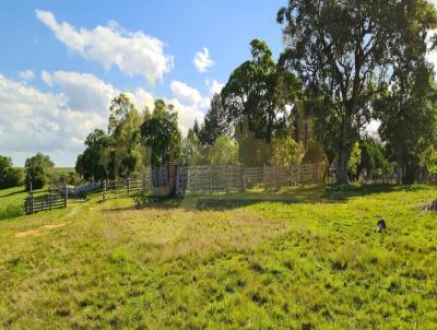 rea Rural para Venda, em Sentinela do Sul, bairro Interior, 3 dormitrios, 3 banheiros