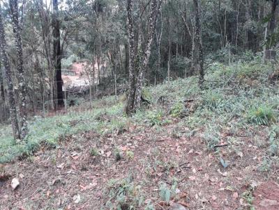 Lote para Venda, em Atibaia, bairro Itapetinga
