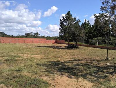 Terreno Urbano para Venda, em Osrio, bairro Capo da reia