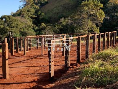 Stio para Venda, em Cssia dos Coqueiros, bairro 