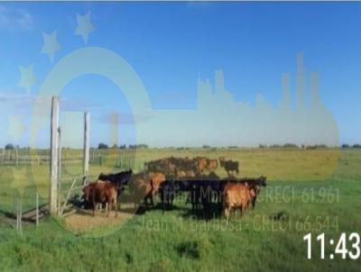 rea Rural para Venda, em Rio Grande, bairro Interior