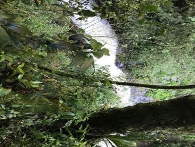 Stio / Chcara para Venda, em Nova Petrpolis, bairro Feliz Lembrana