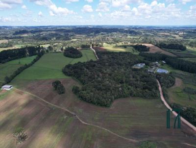 Chcara para Venda, em So Jos dos Pinhais, bairro Estrada da Roseira