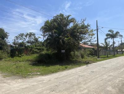 Terreno para Venda, em Pontal do Paran, bairro Pontal do Sul