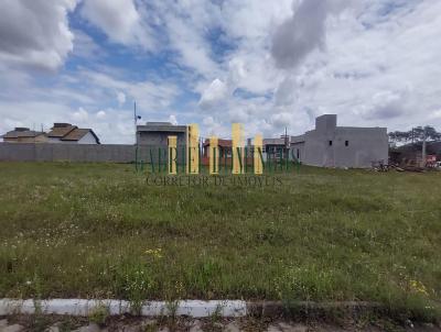 Terreno para Venda, em Ararangu, bairro Sanga da Areia