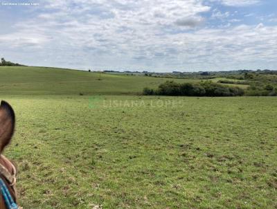 Fazenda para Venda, em Bagé, bairro Consulte