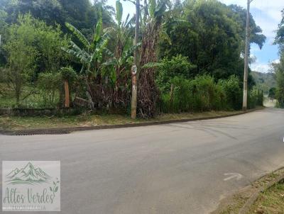 Terreno para Venda, em Monte Alegre do Sul, bairro CENTRO DE MOSTARDA