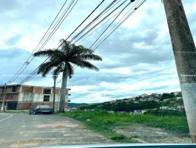 Lote para Venda, em Juiz de Fora, bairro Bosque dos Pinheiros