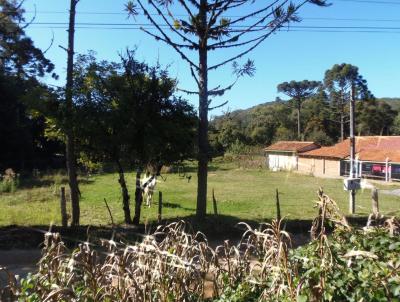 Terreno para Venda, em Campo Largo, bairro Bateias
