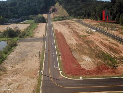 Terreno para Venda, em Indaial, bairro Warnow