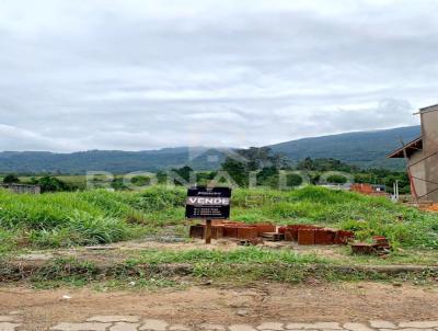 Terreno para Venda, em Sapiranga, bairro So Jac