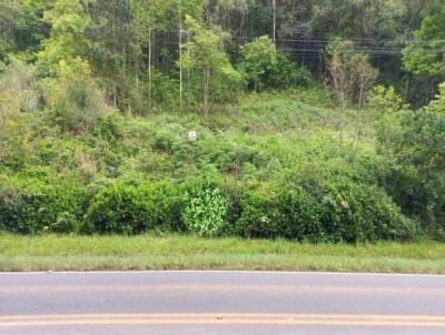 Terreno para Venda, em Nova Petrpolis, bairro Linha Imperial