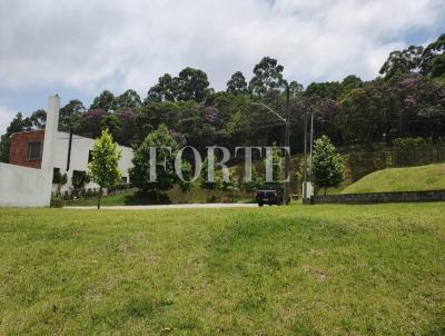 Terreno para Venda, em Barueri, bairro Alphaville