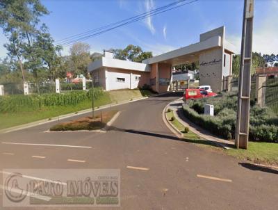 Terreno para Venda, em Pato Branco, bairro Fraron