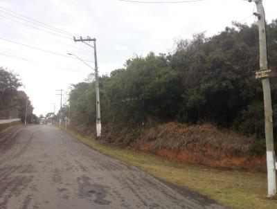 Terreno para Venda, em Ibina, bairro Centro