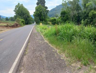 Terreno para Venda, em Nova Petrpolis, bairro Linha Brasil