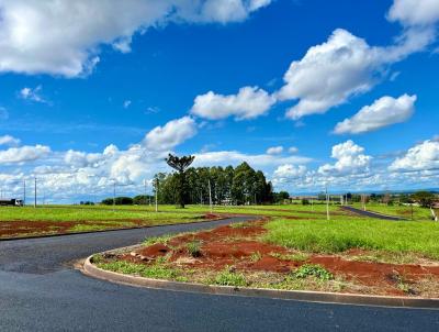 Loteamento para Venda, em Ivaipor, bairro Loteamento Florais do Paran