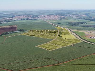 Terreno Industrial para Venda, em Iracempolis, bairro Loteamento Nova Iracemaplis