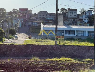 Terreno para Venda, em Ibina, bairro Centro