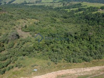 Stio para Venda, em Rio Claro, bairro RODOVIA