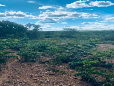 Chcara para Venda, em Montes Claros, bairro Zona Rural