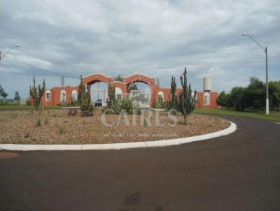 Terreno para Venda, em , bairro Aeroporto