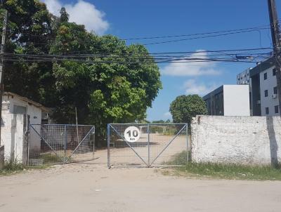 Terreno para Venda, em Recife, bairro Iputinga, 20 vagas