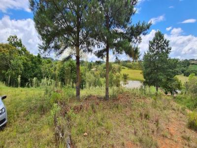 rea Rural para Venda, em Camaqu, bairro Chcara Velha