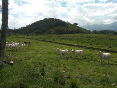 Fazenda para Venda, em Cachoeiras de Macacu, bairro Km 18