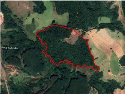 Compensao Ambiental para Venda, em Conceio da Barra de Minas, bairro rea Rural