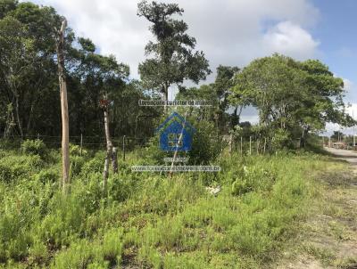 Terreno para Venda, em Pontal do Paran, bairro SHANGRI-LA