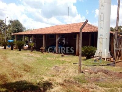 Chcara para Venda, em Buritama, bairro Aeroporto, 4 dormitrios, 1 banheiro