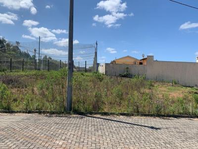 Terreno para Venda, em Santa Cruz do Sul, bairro Rauber