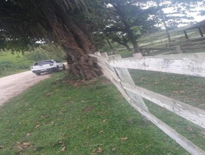 Fazenda para Venda, em Rio Bonito, bairro Centro, 2 dormitrios, 1 banheiro, 1 vaga