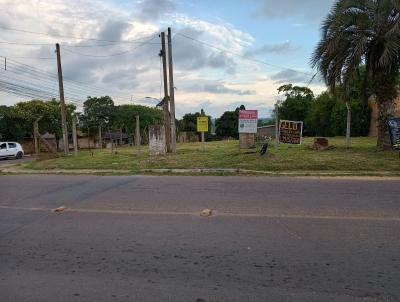 Terreno para Venda, em Viamão, bairro Martinica