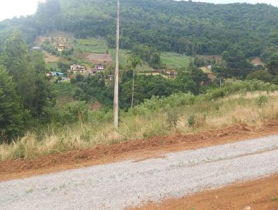 Terreno para Venda, em Santa Maria do Herval, bairro Centro