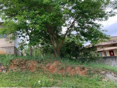 Lote para Venda, em Tangu, bairro Pinho